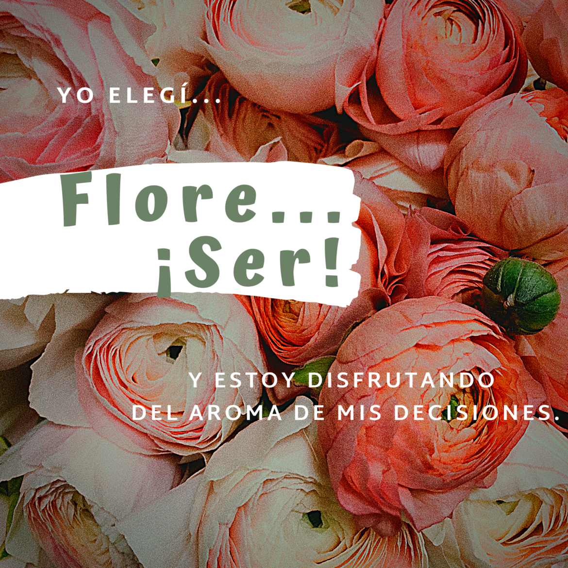 3. Las expectativas – 07.10.19